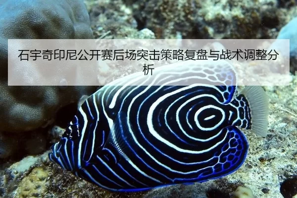 shi-yu-qi-yin-ni-gong-kai-sai-hou-chang-tu-ji-ce-lve-fu-pan-yu-zhan-shu-tiao-zheng-fen-xi-2-405.jpg